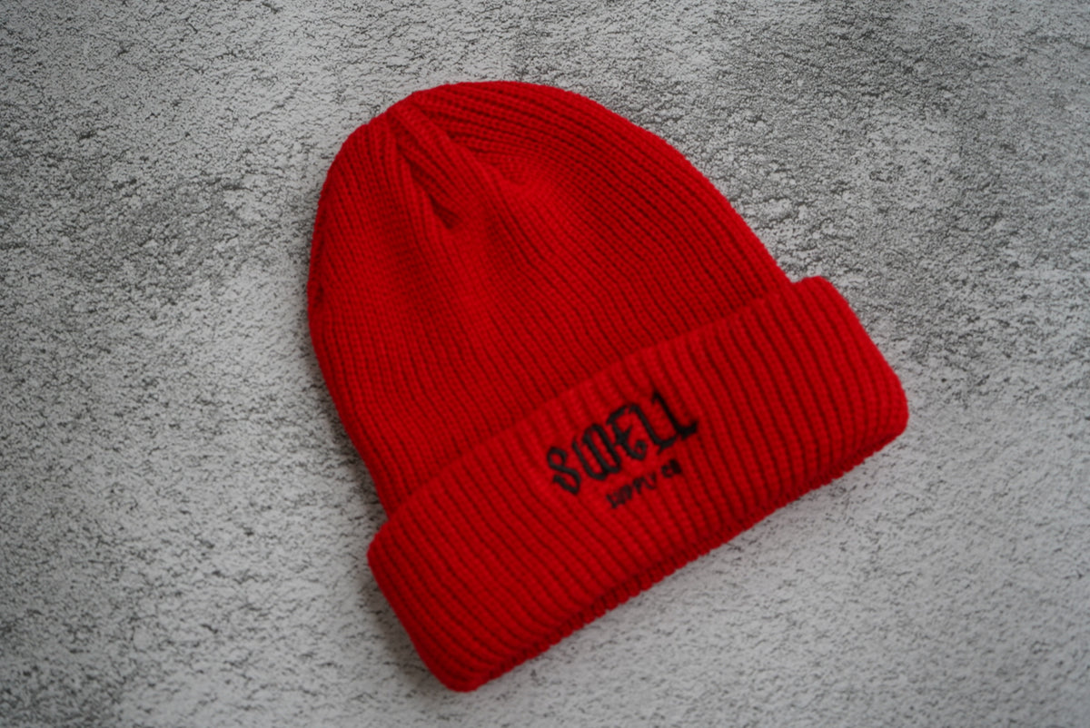 Red Swell knit toddler beanie