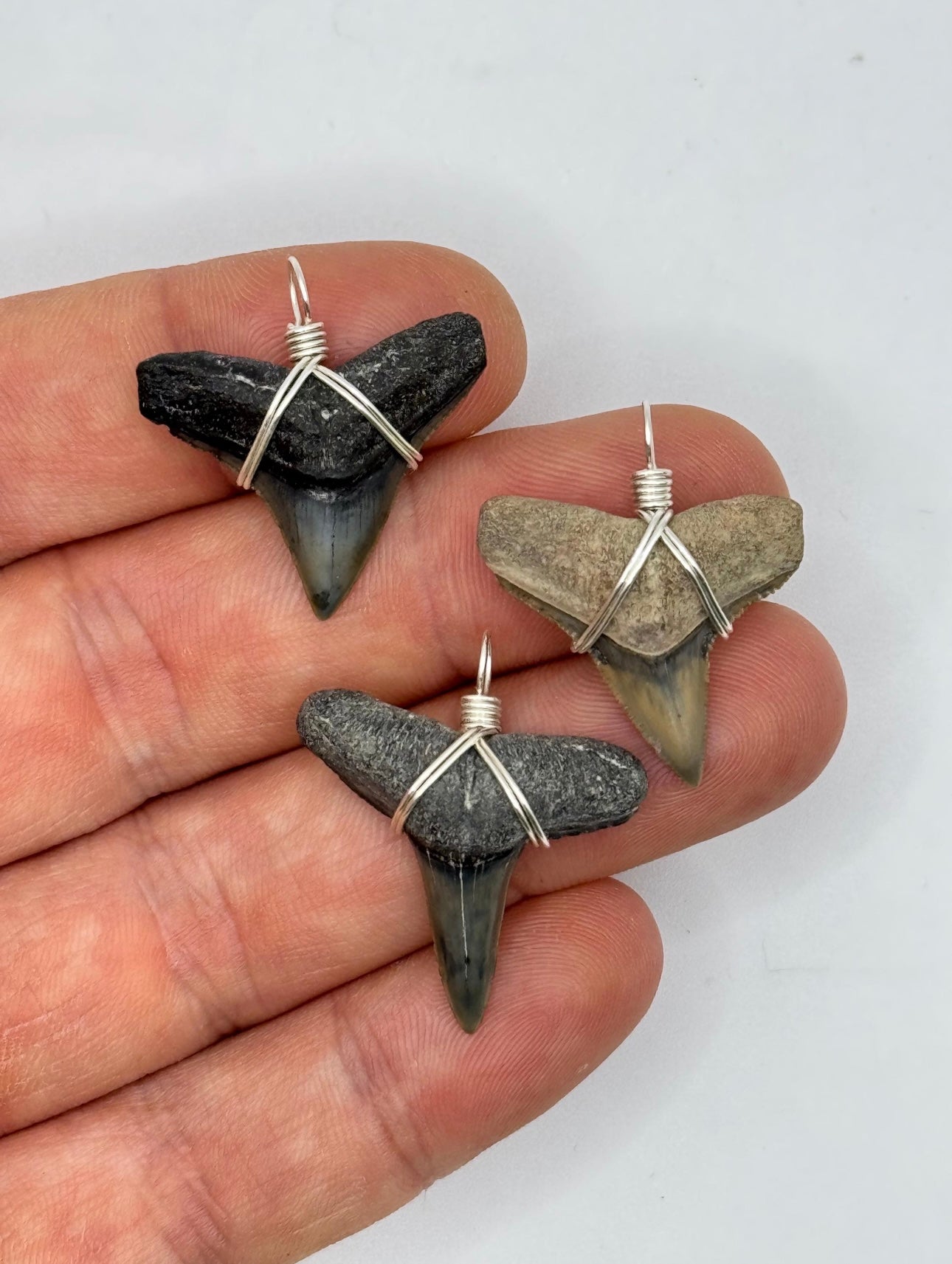 Lemon shark tooth stainless necklace