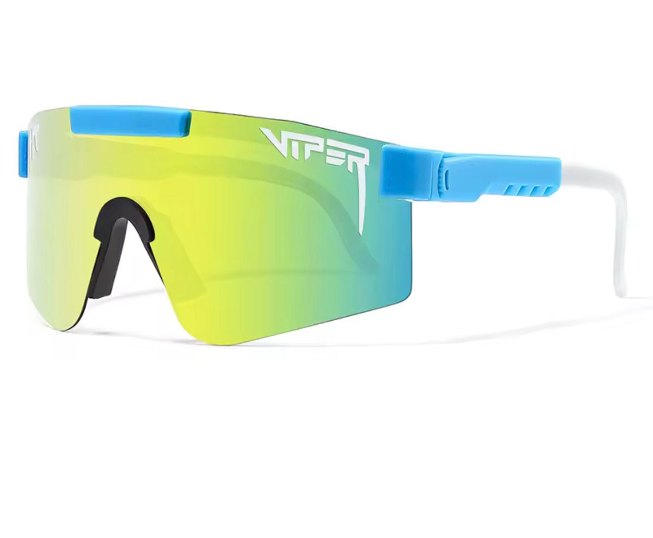 Adult sky blue pit vipers
