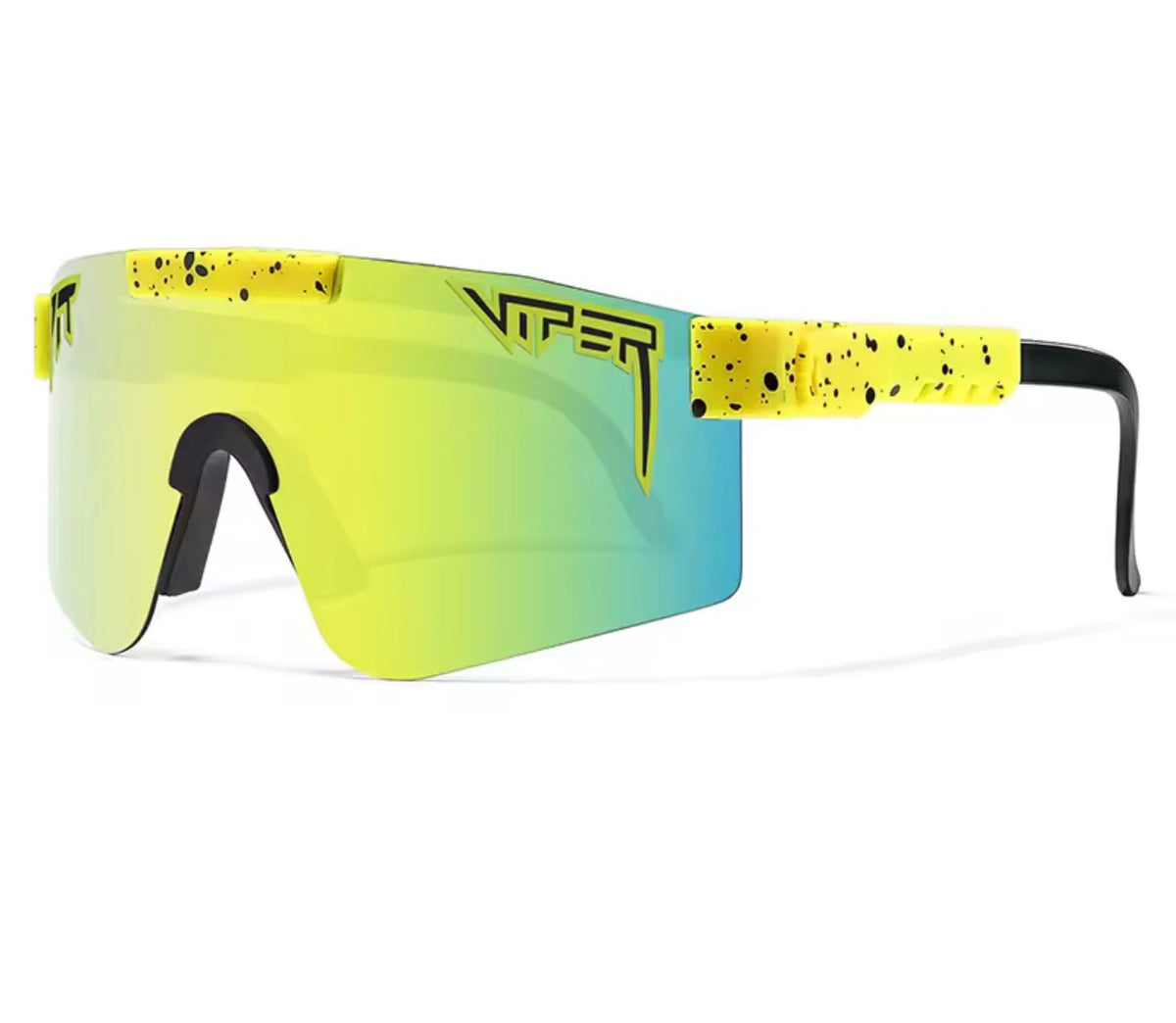 Adult yellow pit vipers