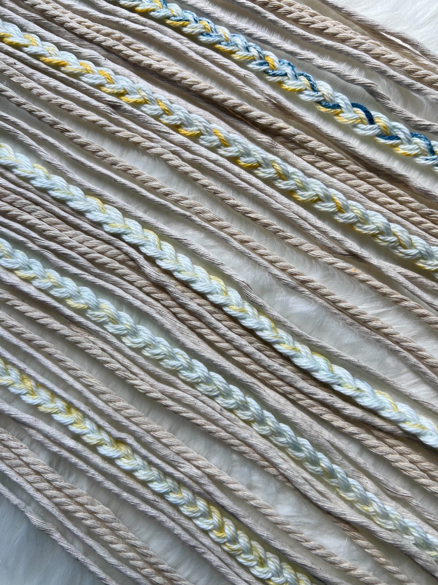 Paris in June bow holder