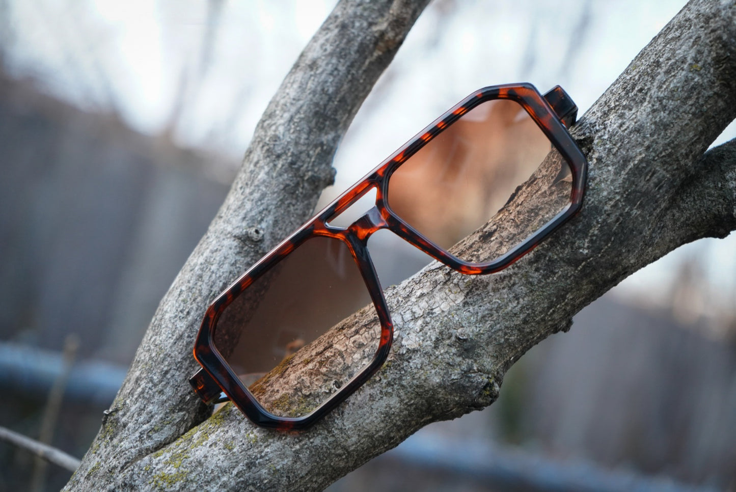 Adult leopard squared double bridge aviators
