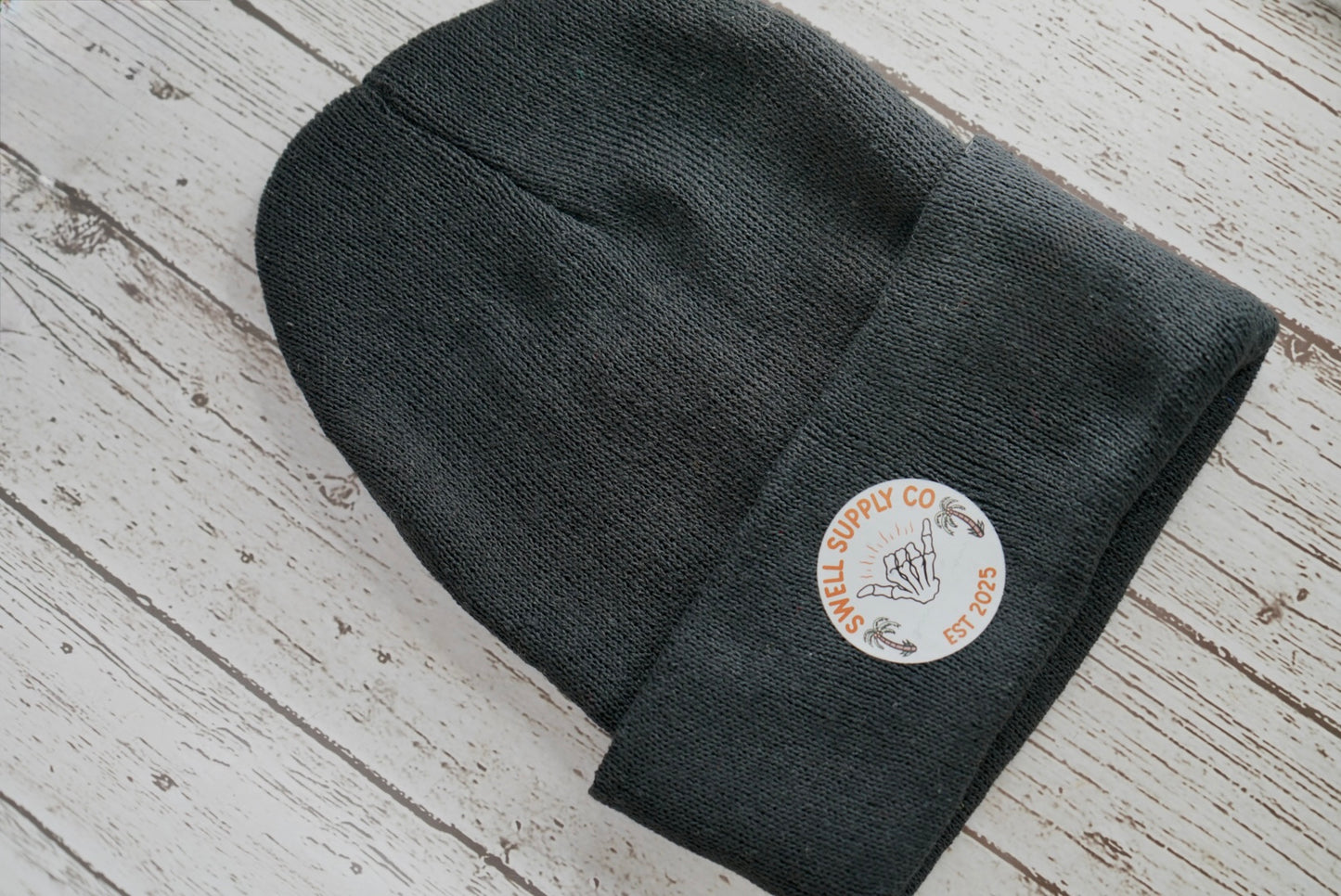 Swell adult beanie