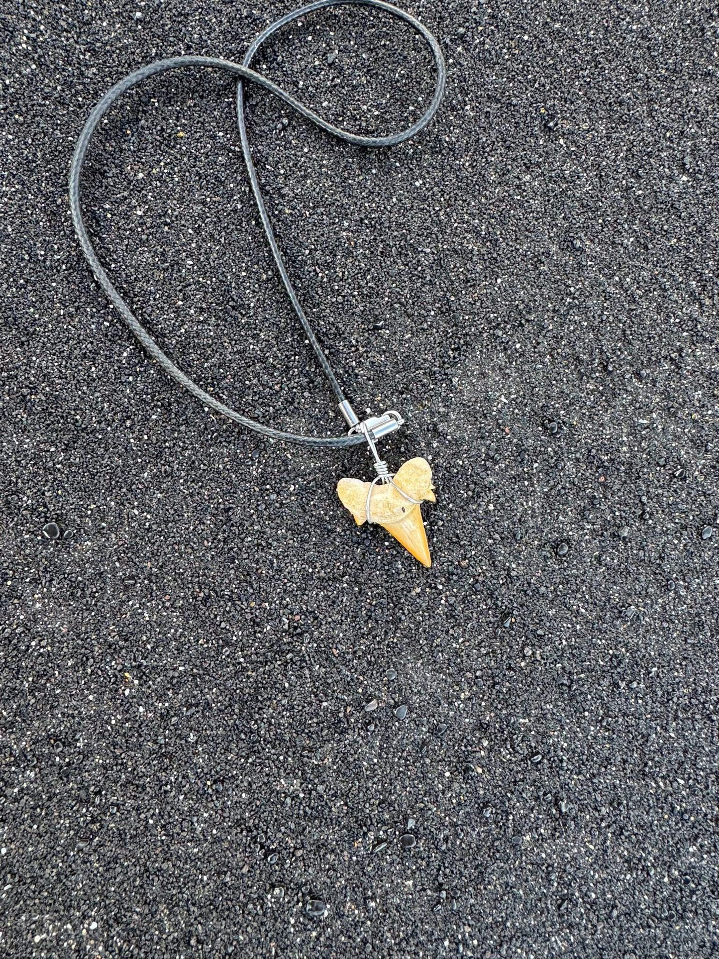 Otodus shark tooth stainless necklace