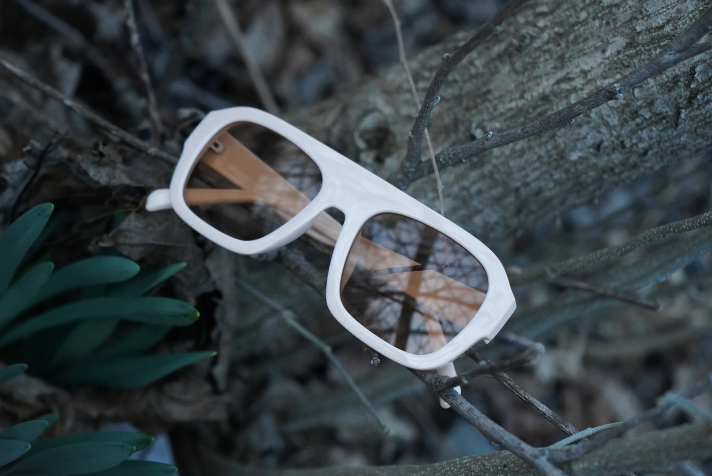 Adult UV400 cream pilot sunglasses