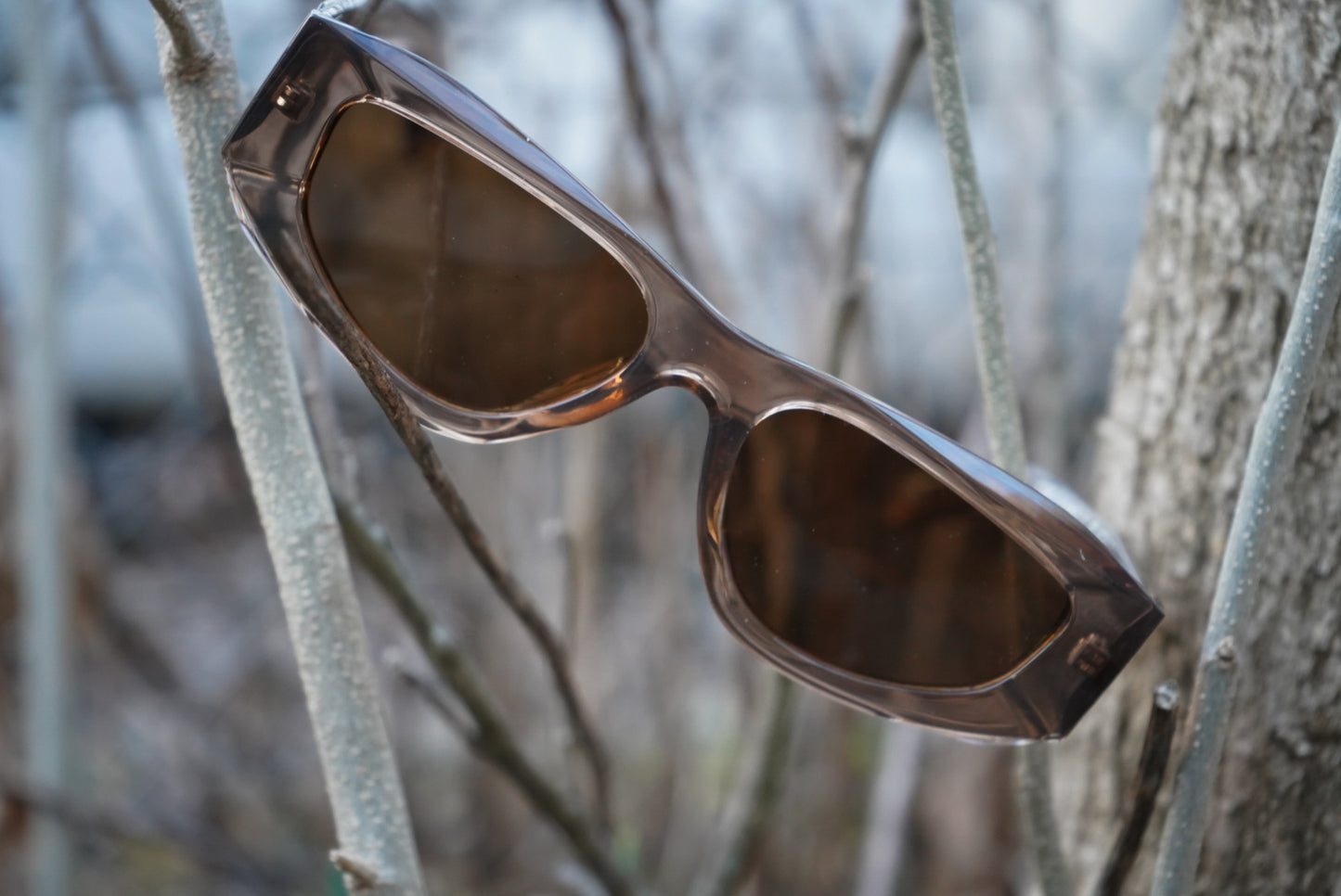 Adult polarized brown oval sunglasses