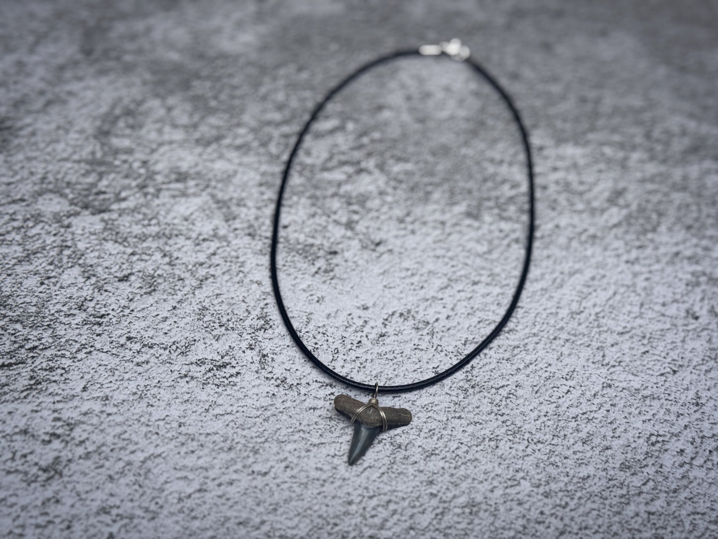 Lemon shark tooth stainless necklace