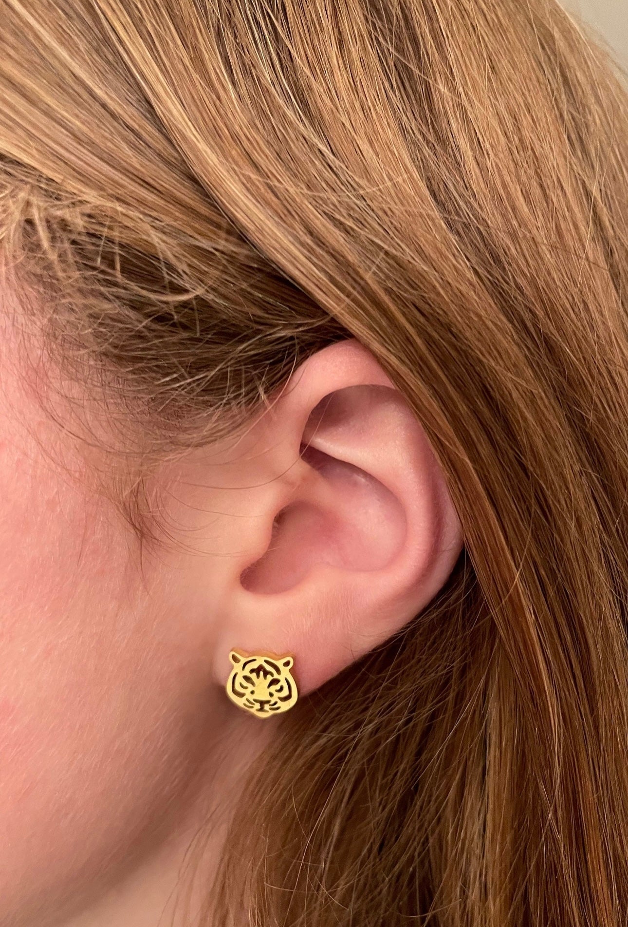 Stainless steel tiger studs