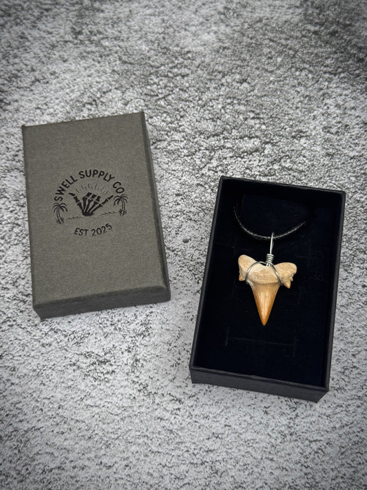 Otodus shark tooth stainless necklace