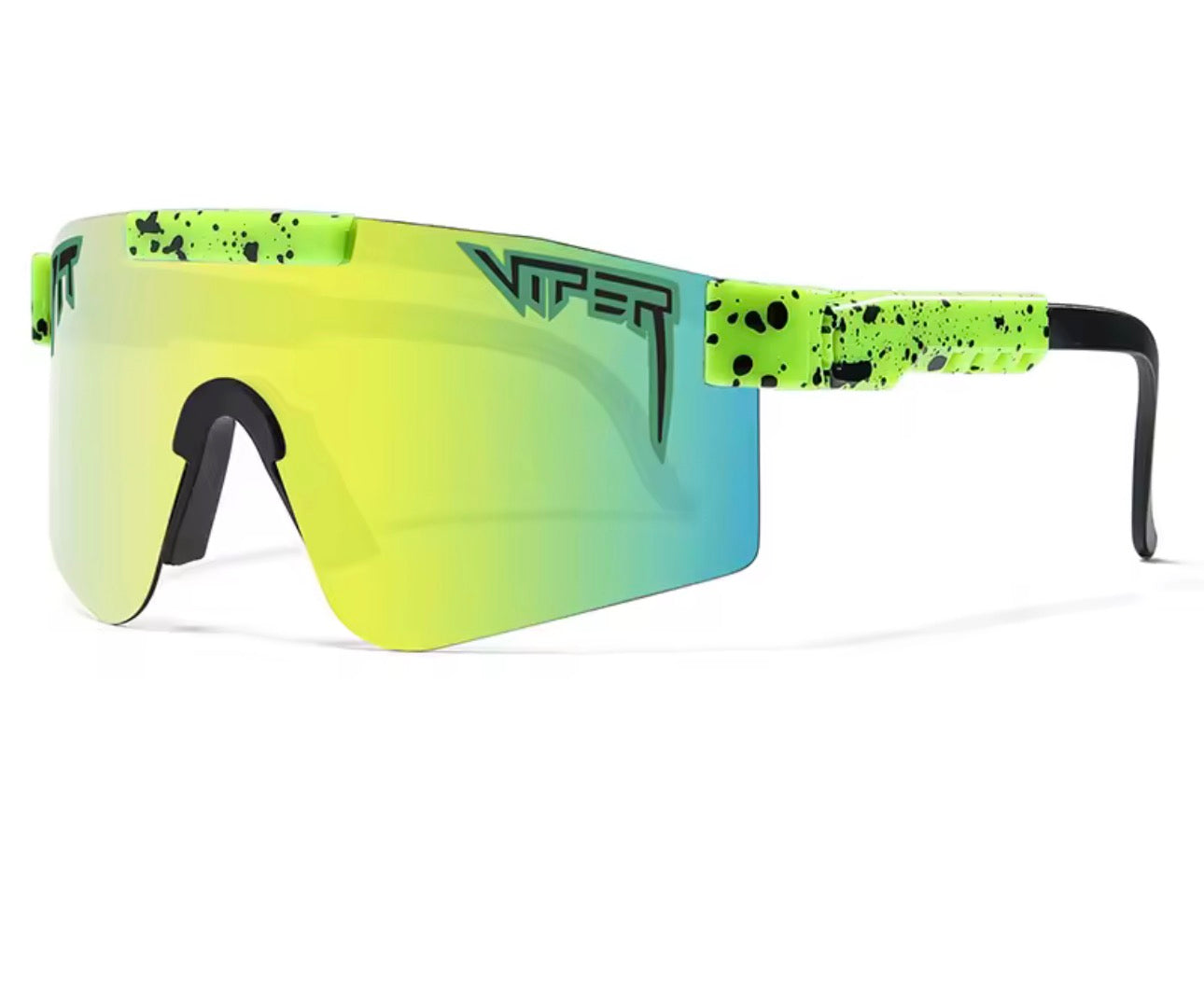 Adult lime pit vipers
